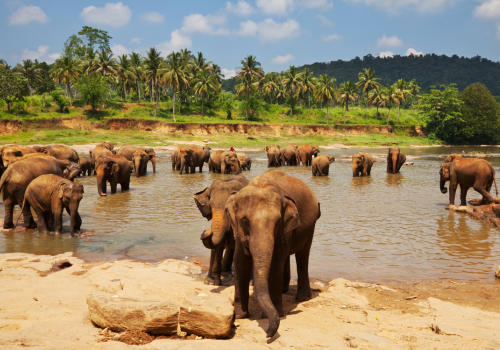 Sri Lanka